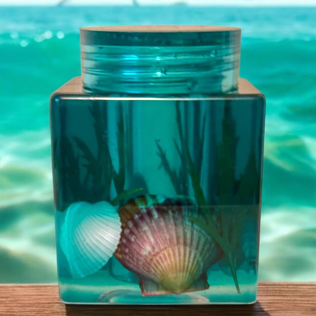 Ocean Seashell Keepsake Jar