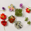 Four Seasons Botanical Coaster Set (4)