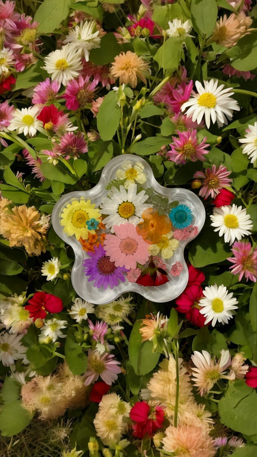 Four Seasons Botanical Coaster Set (4)