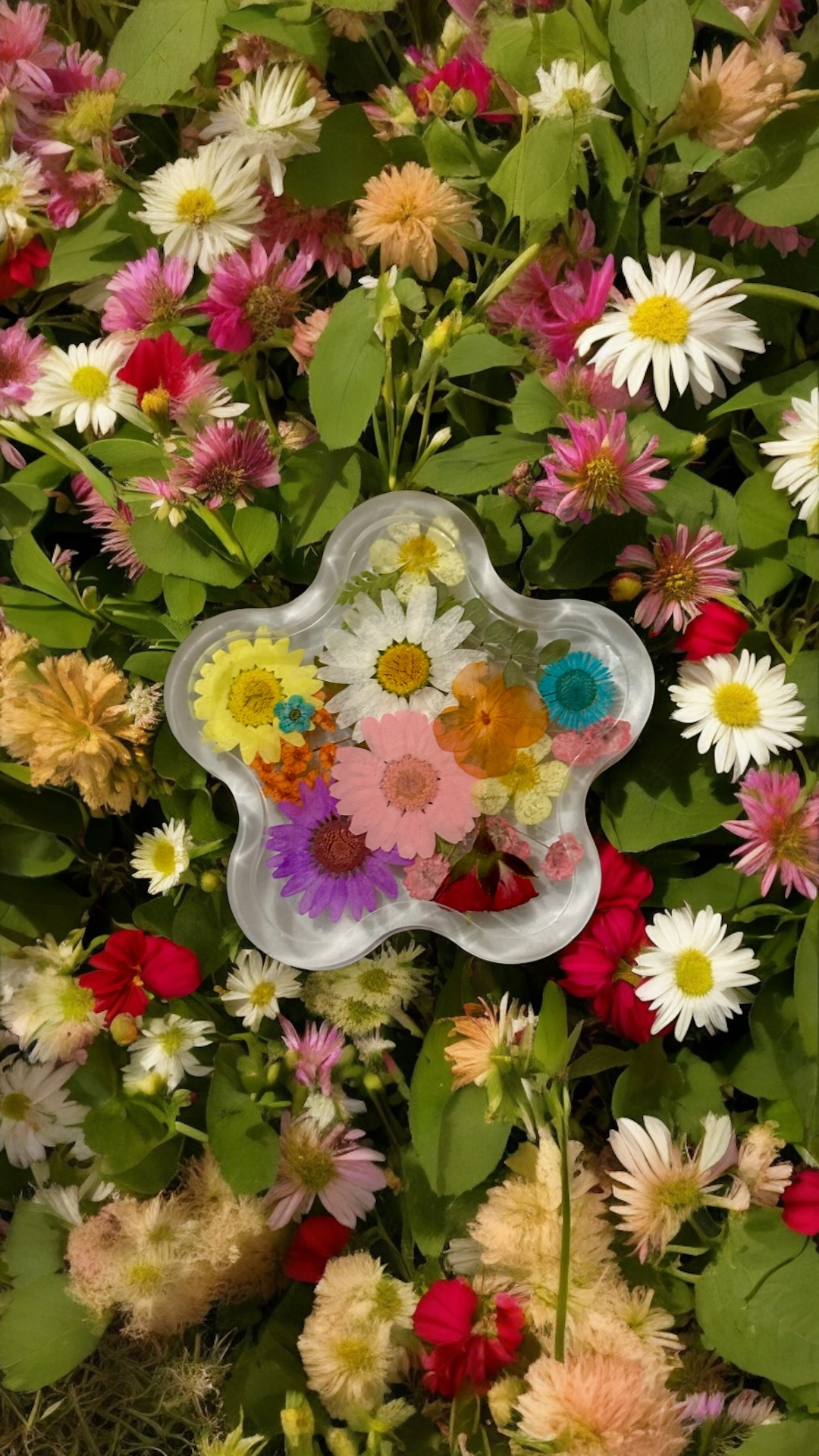 Four Seasons Botanical Coaster Set (4)