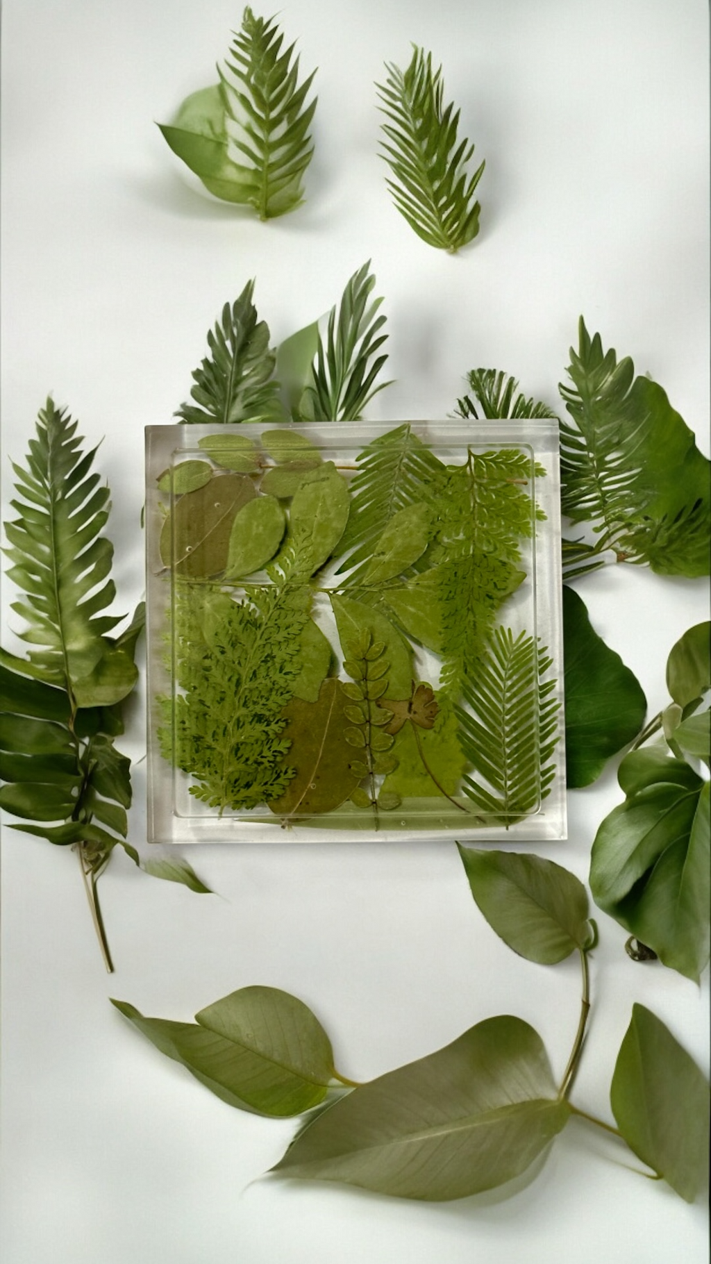 Four Seasons Botanical Coaster Set (4)