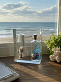 Seahorse & Shell Coastal Keepsake