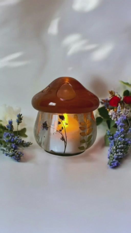 Botanical Mushroom Keepsake Jar Collection